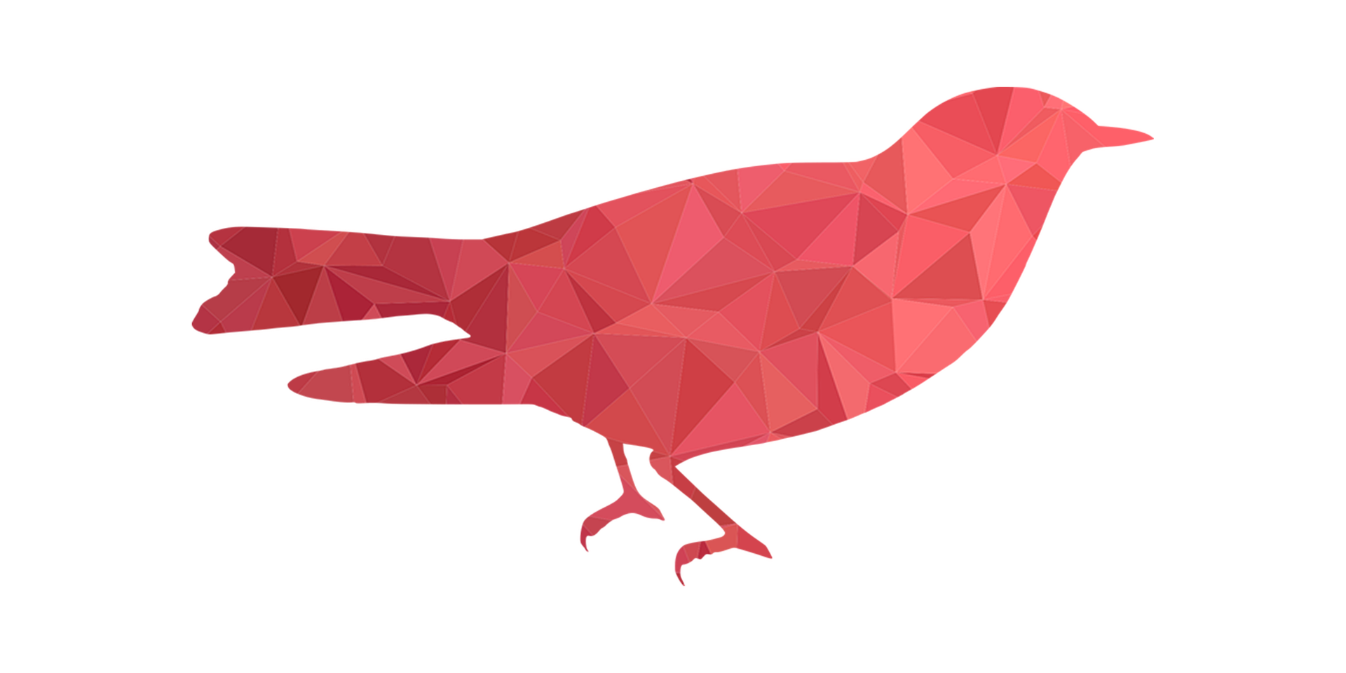 Early bird - PIXA