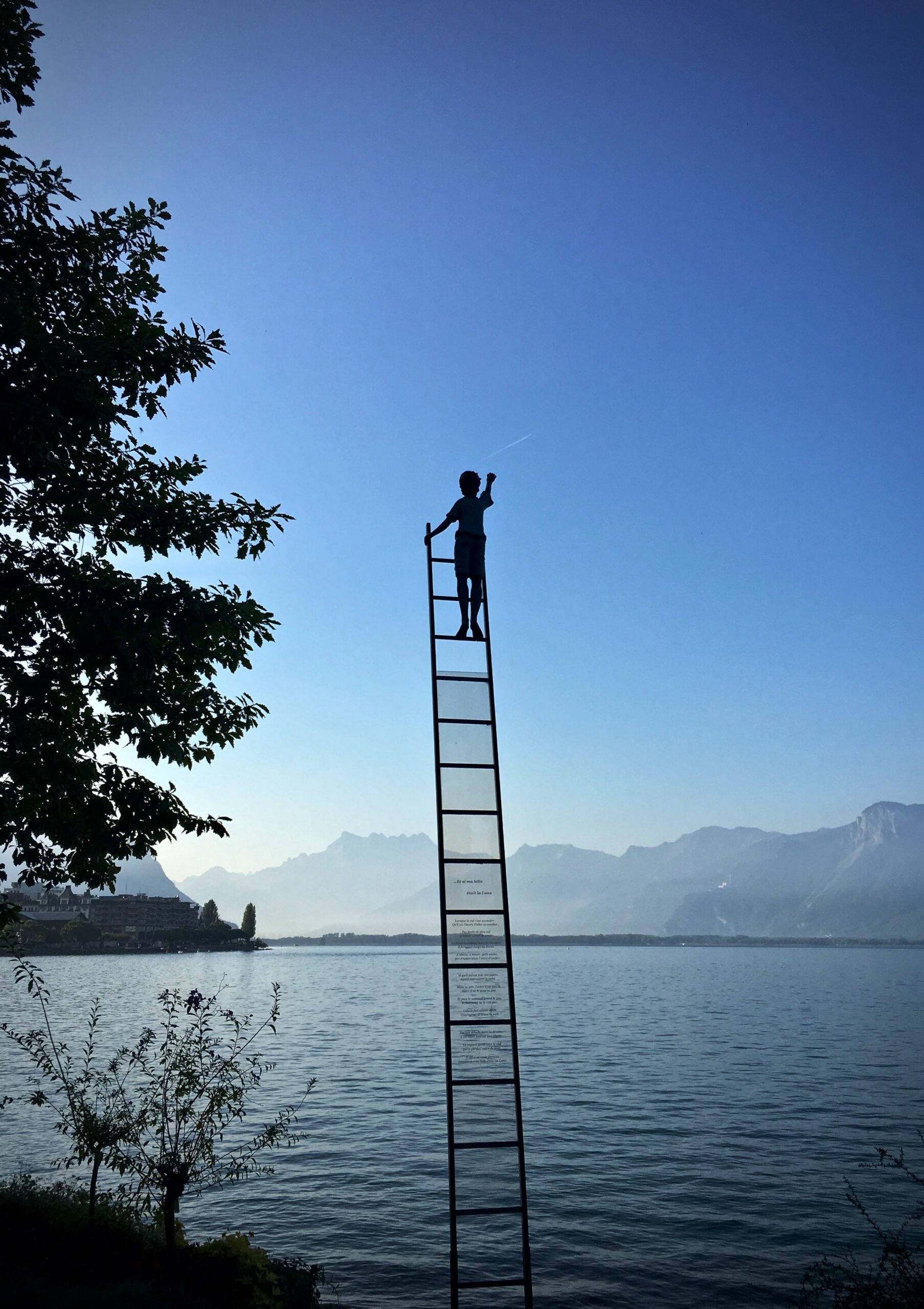 Moed - Unsplash